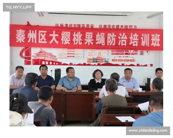 高尔夫训练技巧与方法全面解析 提升技术水平 打造专业球员训练计划 高尔夫训练技巧与方法全面解析 提升技术水平 打造专业球员训练计划