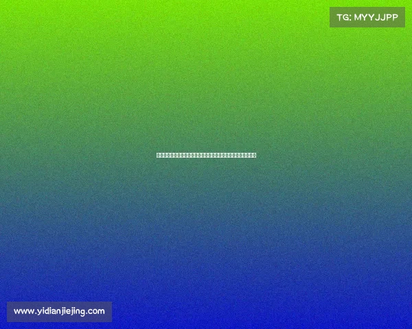 网球比赛技术统计分析：提升选手竞技表现的关键数据解读与应用